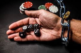 Вход на официальный сайт Kaktuz Casino